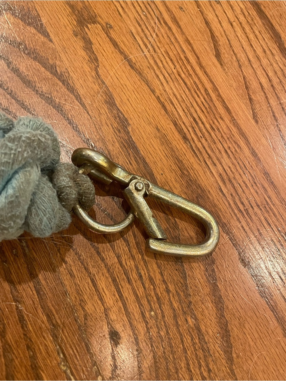 Light Blue Lead Rope - Picture 2 of 3